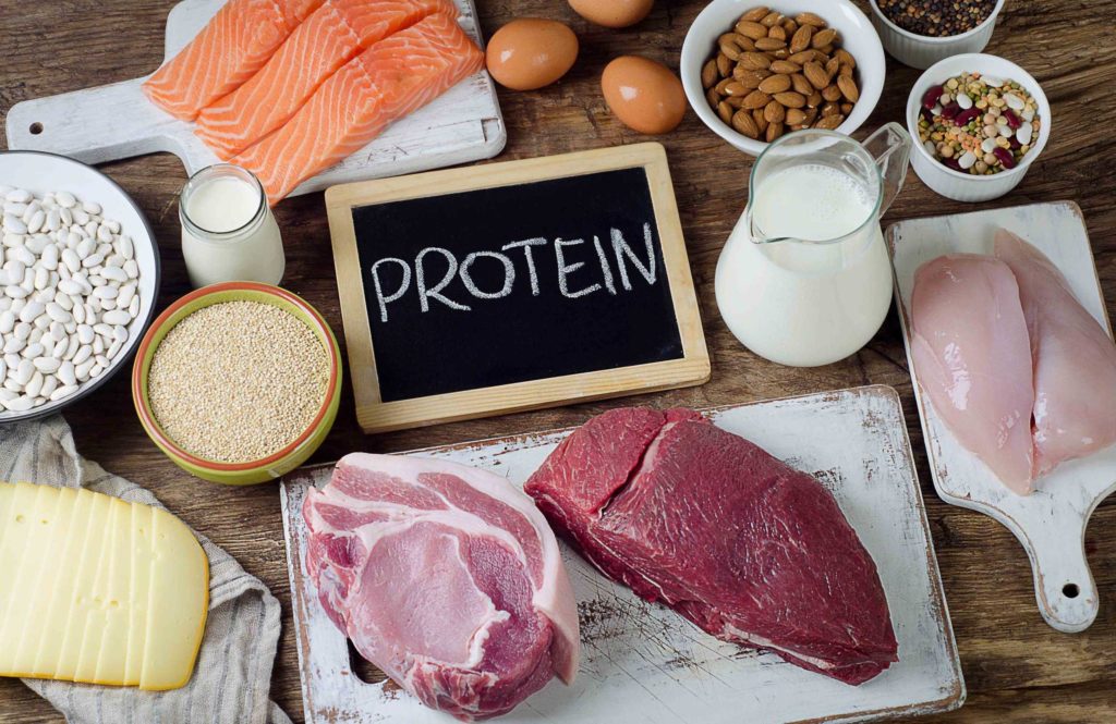 Protein Calculator Tailored Nutritional Guidance for Daily Intake