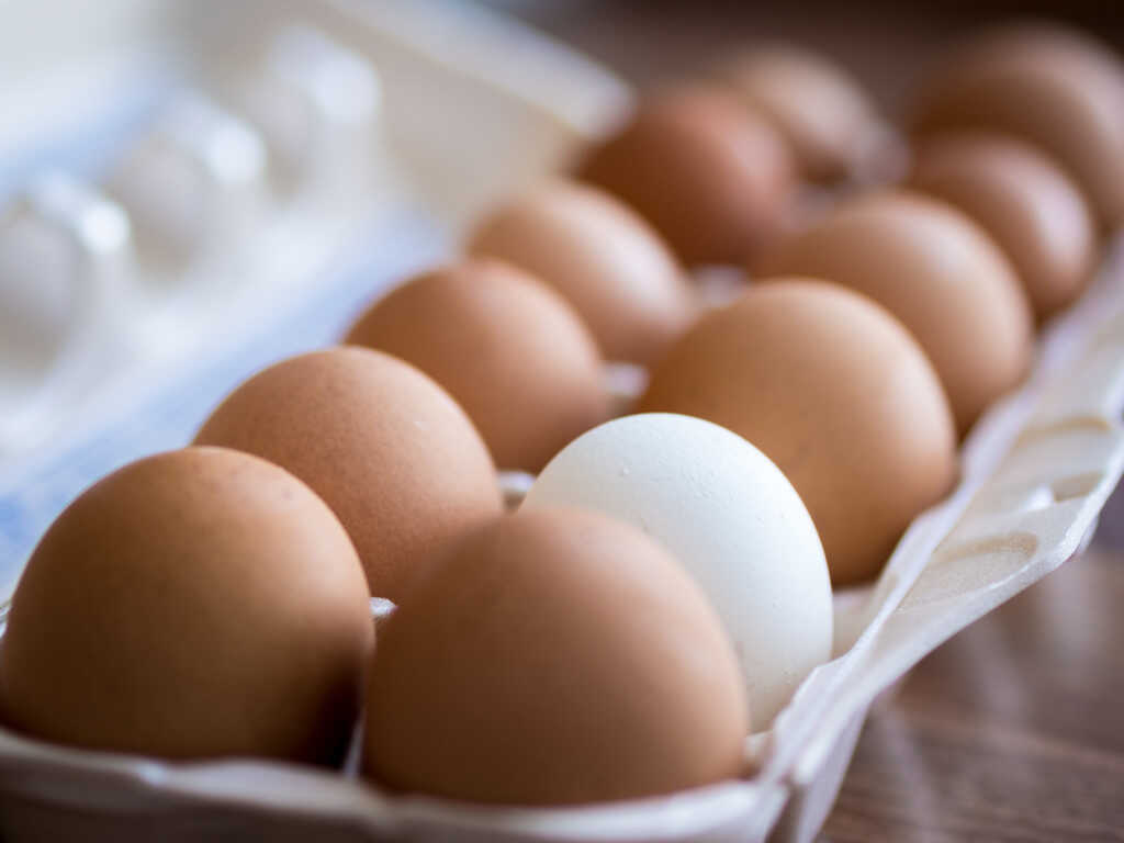 How Long Do Eggs Last?